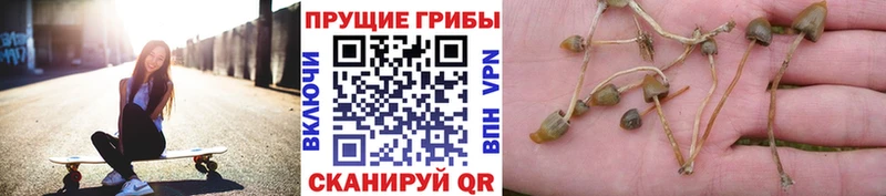 это официальный сайт Гай Галлюциногенные грибы GOLDEN TEACHER